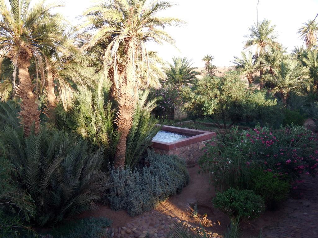 Dar Paru Bed and Breakfast M'Hamid Buitenkant foto