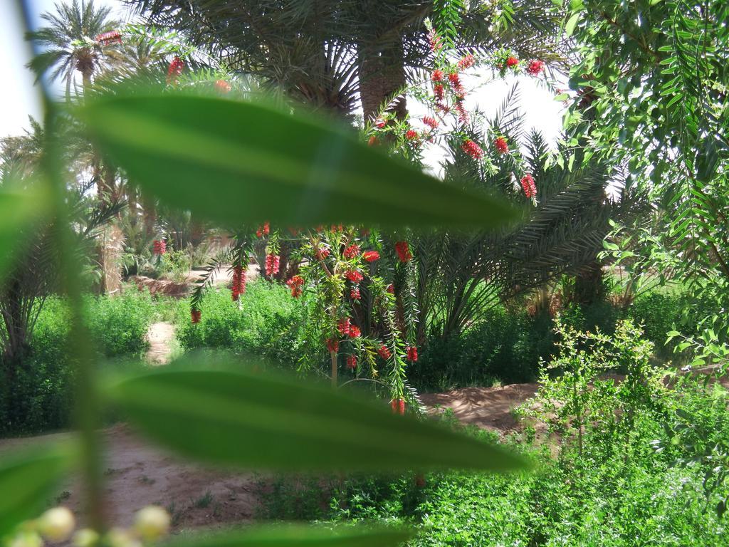Dar Paru Bed and Breakfast M'Hamid Buitenkant foto