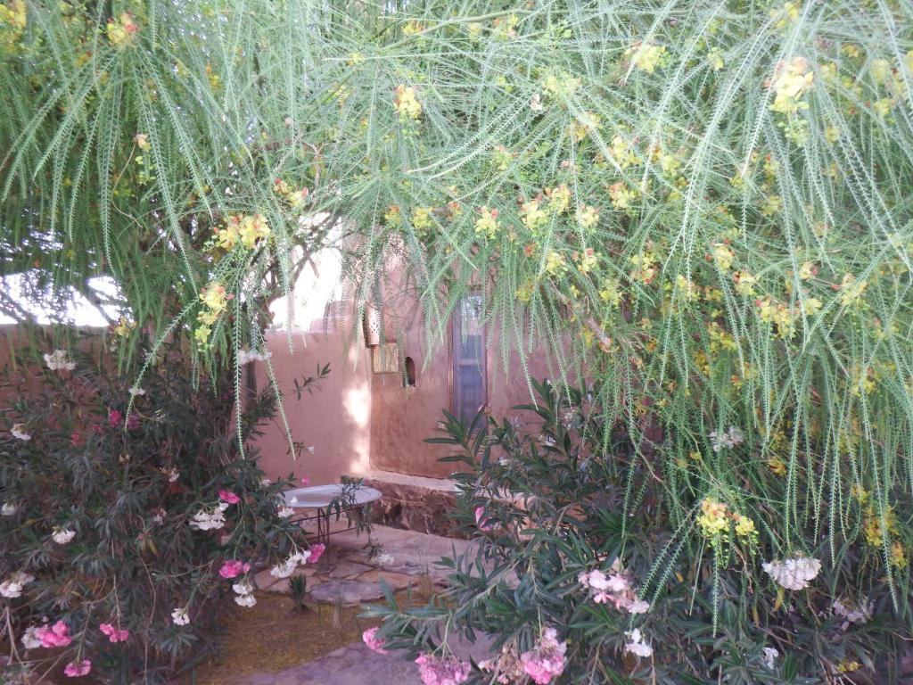Dar Paru Bed and Breakfast M'Hamid Kamer foto