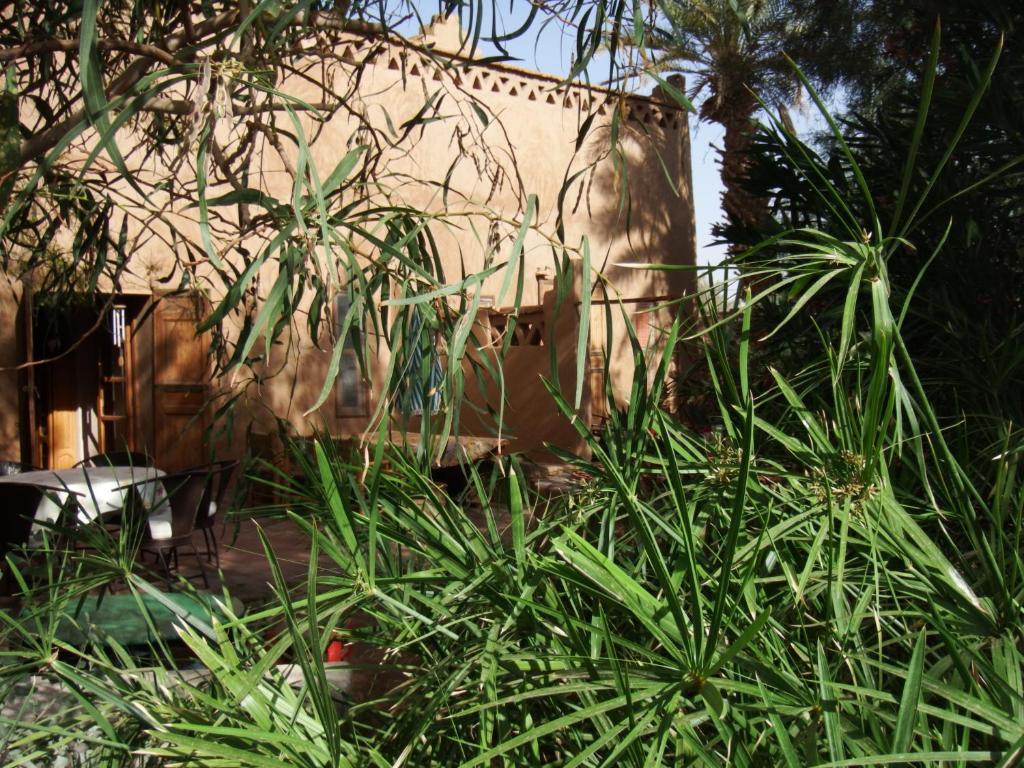Dar Paru Bed and Breakfast M'Hamid Buitenkant foto